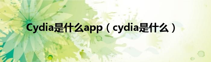 Cydia是什么app（cydia是什么）