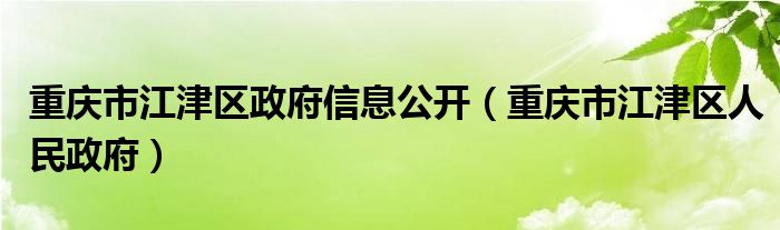 重庆市江津区政府信息公开（重庆市江津区人民政府）