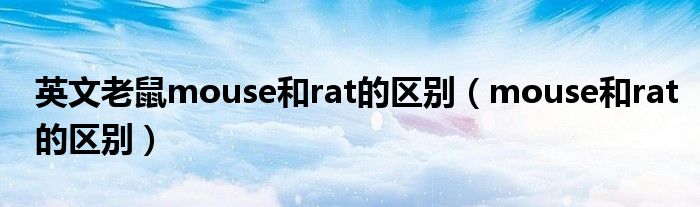 英文老鼠mouse和rat的区别（mouse和rat的区别）