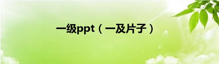 一级ppt（一及片子）