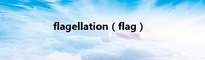 flagellation（flag）