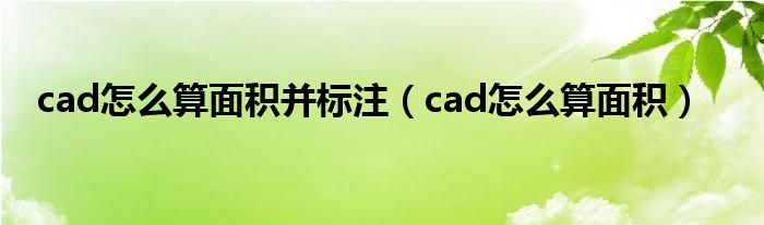 cad怎么算面积并标注（cad怎么算面积）