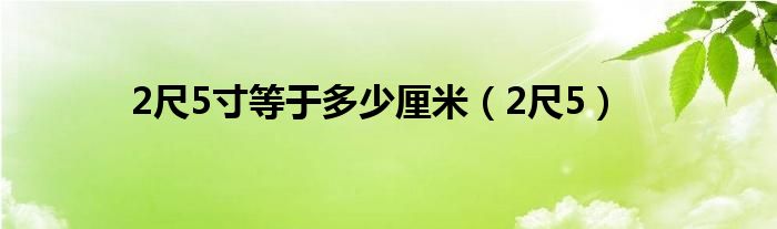 2尺5寸等于多少厘米（2尺5）