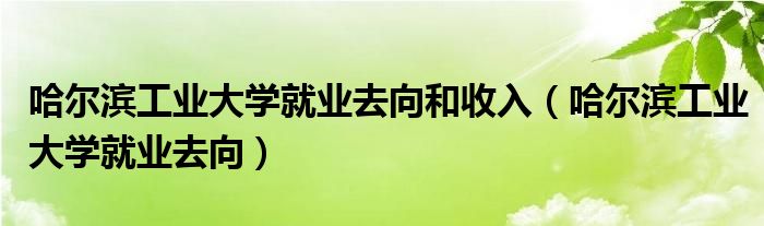 哈尔滨工业大学就业去向和收入（哈尔滨工业大学就业去向）