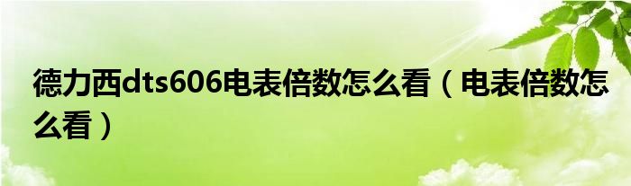 德力西dts606电表倍数怎么看（电表倍数怎么看）