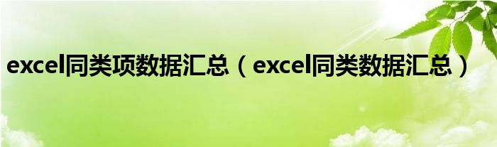 excel同类项数据汇总（excel同类数据汇总）