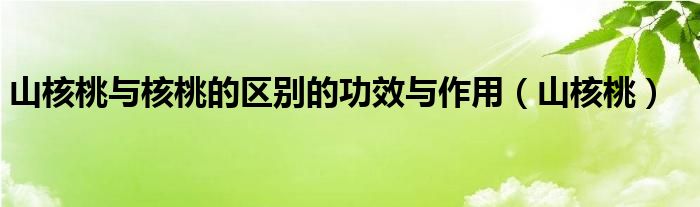 山核桃与核桃的区别的功效与作用（山核桃）