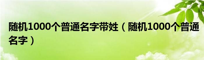 随机1000个普通名字带姓（随机1000个普通名字）