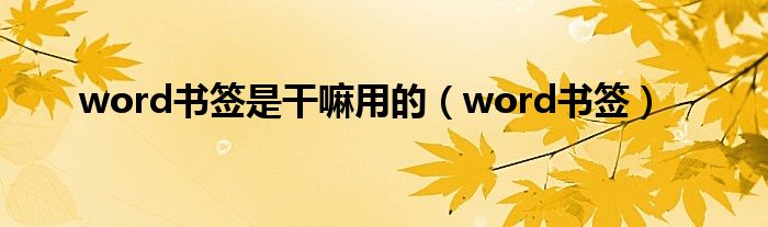 word书签是干嘛用的（word书签）