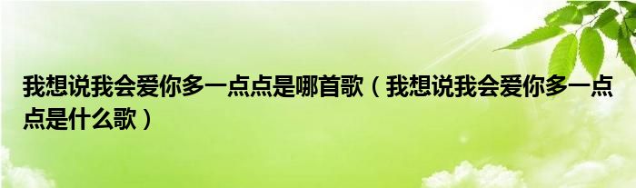 我想说我会爱你多一点点是哪首歌（我想说我会爱你多一点点是什么歌）