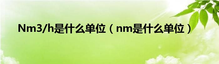 Nm3/h是什么单位（nm是什么单位）