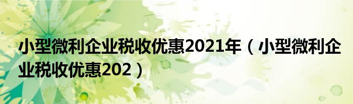 小型微利企业税收优惠2021年（小型微利企业税收优惠202）