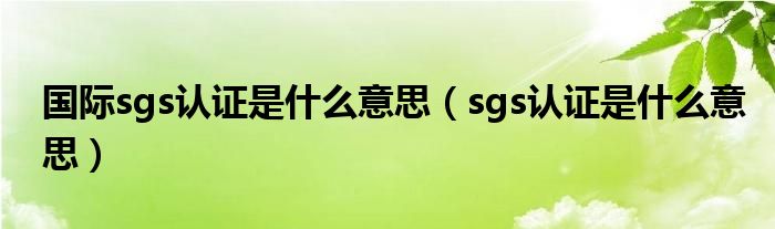 国际sgs认证是什么意思（sgs认证是什么意思）