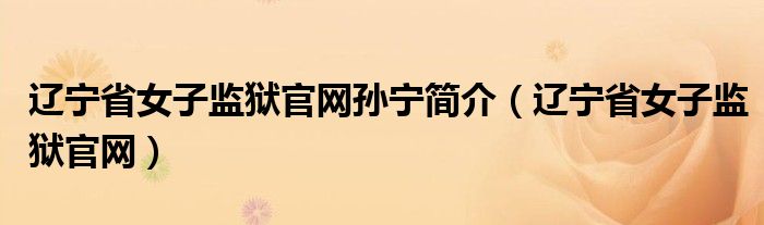 辽宁省女子监狱官网孙宁简介（辽宁省女子监狱官网）