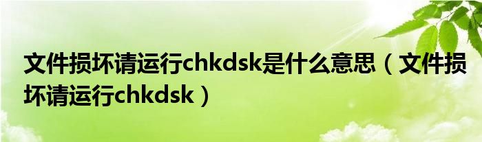 文件损坏请运行chkdsk是什么意思（文件损坏请运行chkdsk）