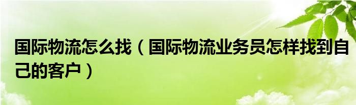 国际物流怎么找（国际物流业务员怎样找到自己的客户）