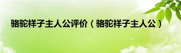 骆驼祥子主人公评价（骆驼祥子主人公）