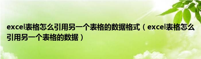 excel表格怎么引用另一个表格的数据格式（excel表格怎么引用另一个表格的数据）