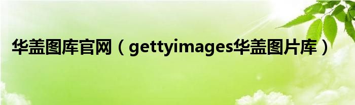 华盖图库官网（gettyimages华盖图片库）