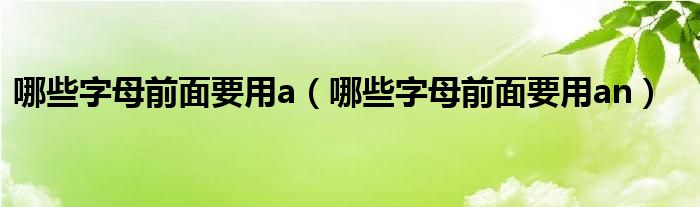 哪些字母前面要用a（哪些字母前面要用an）