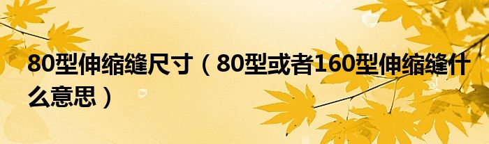 80型伸缩缝尺寸（80型或者160型伸缩缝什么意思）