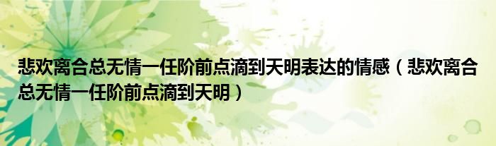 悲欢离合总无情一任阶前点滴到天明表达的情感（悲欢离合总无情一任阶前点滴到天明）