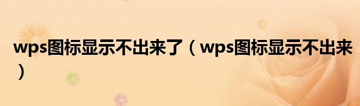 wps图标显示不出来了（wps图标显示不出来）