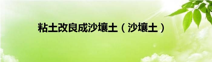 粘土改良成沙壤土（沙壤土）