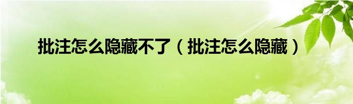 批注怎么隐藏不了（批注怎么隐藏）