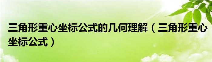 三角形重心坐标公式的几何理解（三角形重心坐标公式）