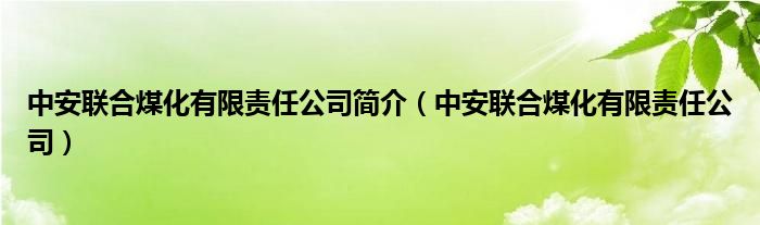 中安联合煤化有限责任公司简介（中安联合煤化有限责任公司）