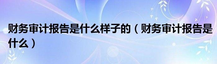 财务审计报告是什么样子的（财务审计报告是什么）