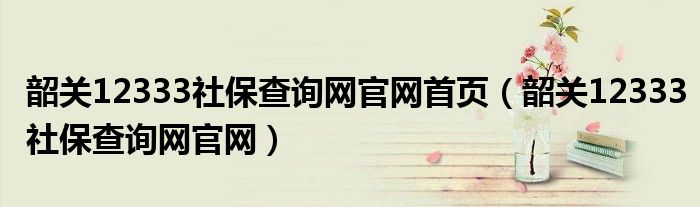韶关12333社保查询网官网首页（韶关12333社保查询网官网）