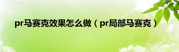 pr马赛克效果怎么做（pr局部马赛克）