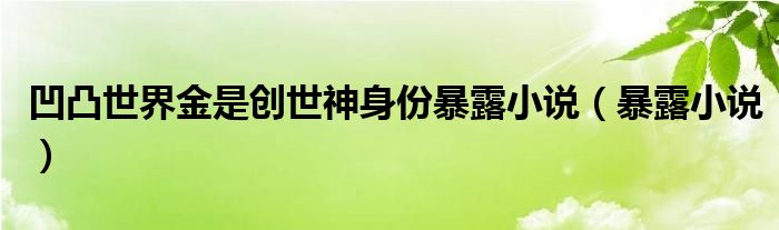 凹凸世界金是创世神身份暴露小说（暴露小说）