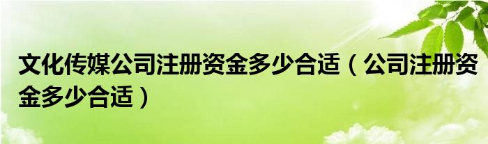 文化传媒公司注册资金多少合适（公司注册资金多少合适）