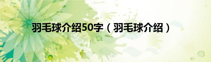 羽毛球介绍50字（羽毛球介绍）