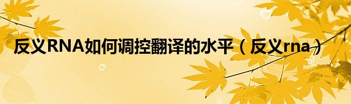 反义RNA如何调控翻译的水平（反义rna）