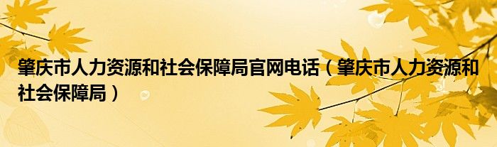 肇庆市人力资源和社会保障局官网电话（肇庆市人力资源和社会保障局）