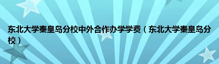 东北大学秦皇岛分校中外合作办学学费（东北大学秦皇岛分校）