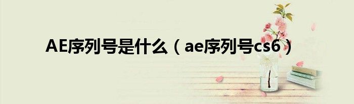 AE序列号是什么（ae序列号cs6）