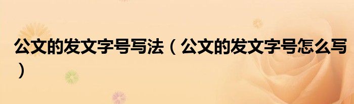 公文的发文字号写法（公文的发文字号怎么写）