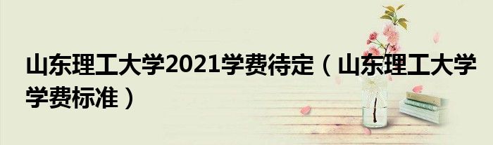 山东理工大学2021学费待定（山东理工大学学费标准）