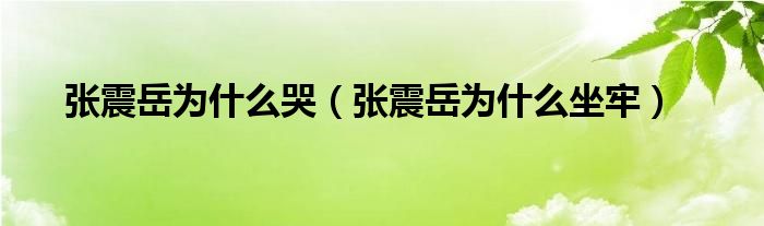 张震岳为什么哭（张震岳为什么坐牢）