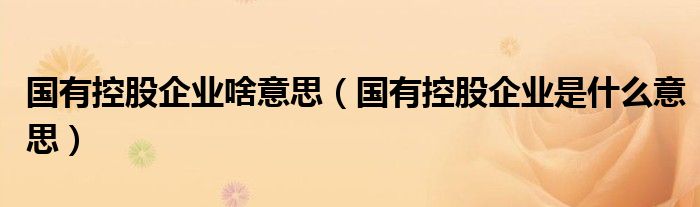 国有控股企业啥意思（国有控股企业是什么意思）