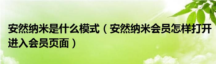 安然纳米是什么模式（安然纳米会员怎样打开进入会员页面）