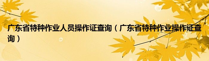 广东省特种作业人员操作证查询（广东省特种作业操作证查询）