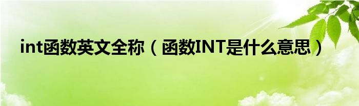 int函数英文全称（函数INT是什么意思）