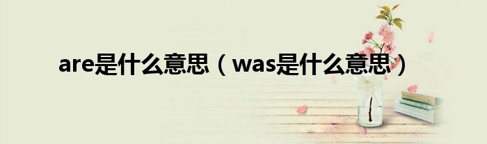 are是什么意思（was是什么意思）