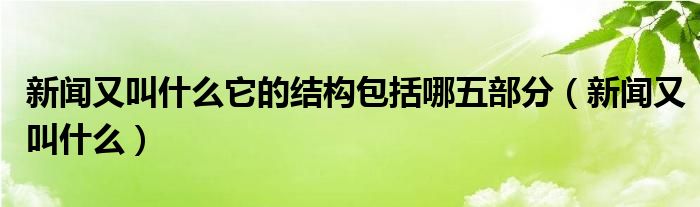 新闻又叫什么它的结构包括哪五部分（新闻又叫什么）